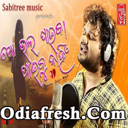 Mo Bhalapaiba Paibu nahin,Odia Romantic Song by Human sagar